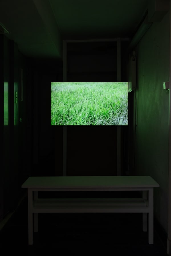 105Lvo05509Weltamdraht