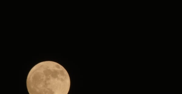 matter on its dance through time - Jana Coorevits