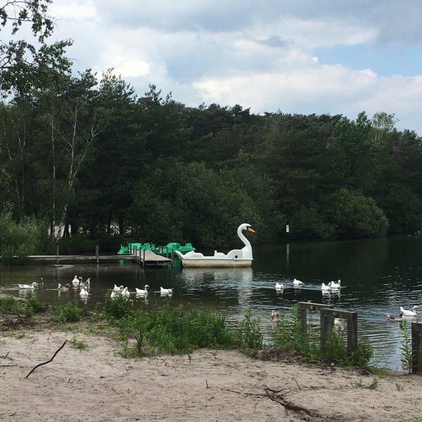 Zena Van den Block, image from Prütscher: ein Übersichtsbuch über den unbekannten Künstler aus dem Zeitraum zwischen 11.01.2021 und 19.06.2021, 2022