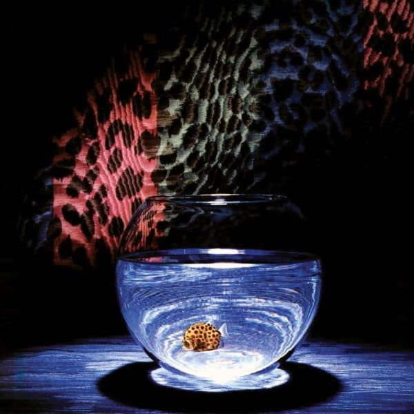 Tramaine de Senna - Fire and Eyes - 2026