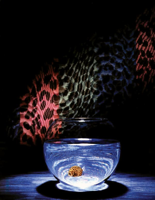 Tramaine de Senna - Fire and Eyes (source photo: Valery Assenat for Manuel Canovas)