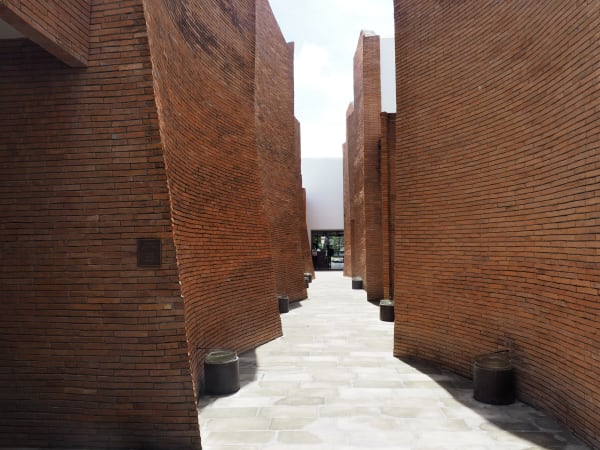 Panalai The embrace of forests อ้อมกอดแห่งพนาลัย