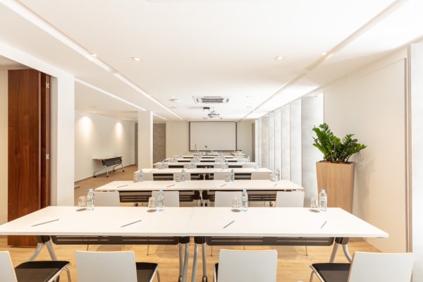 Conference Room more info