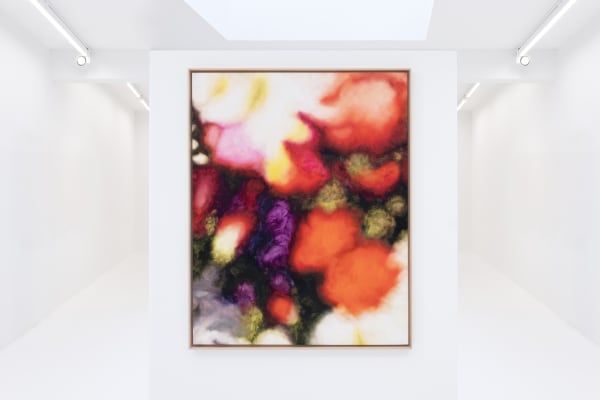 ACROSS THE FIELDS, By Gaël davrinche