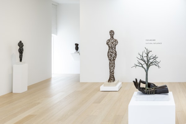 Web Natural Influence 021