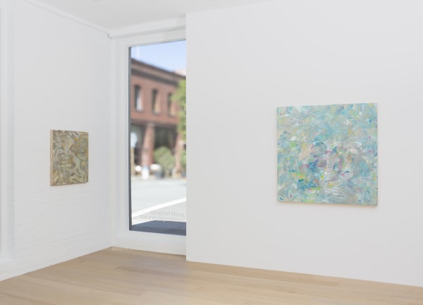 Lorene Anderson Troposphere Install 4