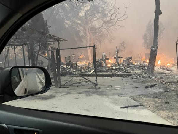 FROM THE ASHES: A Virtual Exhibition BENEFITING ERIC ZAMMITT