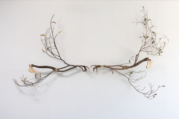 Encuentro con Seres Notables