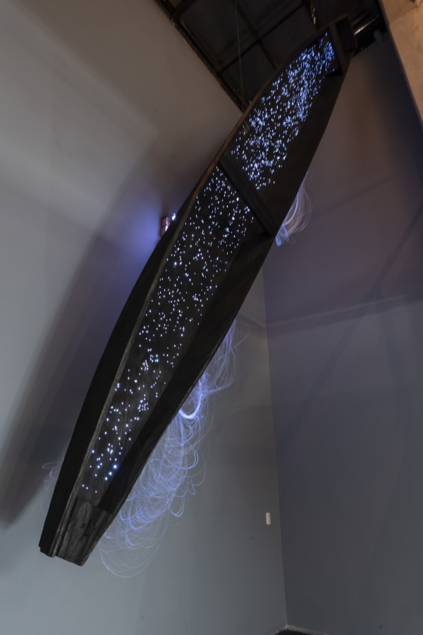 Miler Lagos, El camino de la danta, 2023