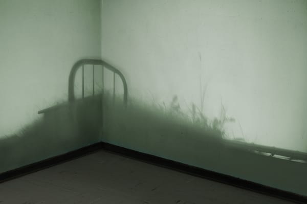 María Elvira Escallón, En estado de Coma , 2007