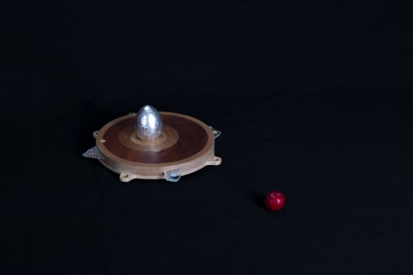 José Sanín, Los Detritos - Curiosity, 2022