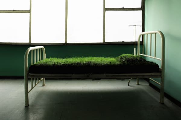 Maria Elvira Escallon digital print photo landscape