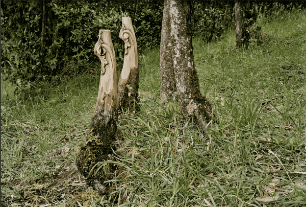 María Elvira Escallón, Nuevas Floras, 2008