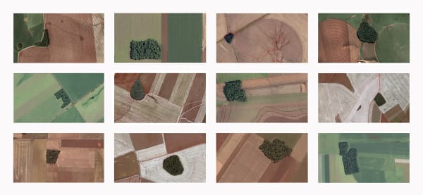 Maria Elvira Escallon digital print photo landscape