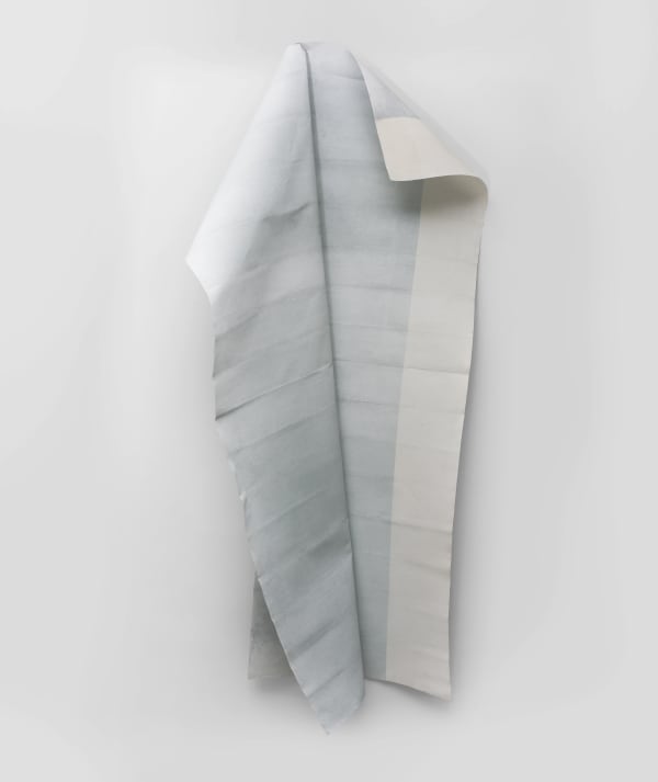 Ana María Rueda, De línea en línea #1, 2018