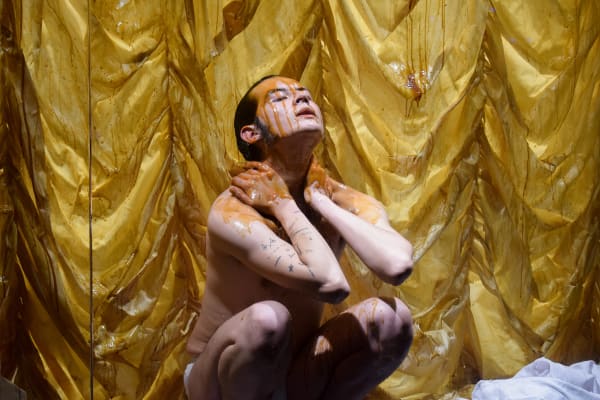 Reactor coloide o fragua de trópico, Alvaro Cabrejo Torres