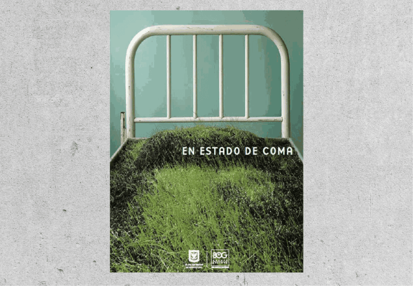 En estado de coma