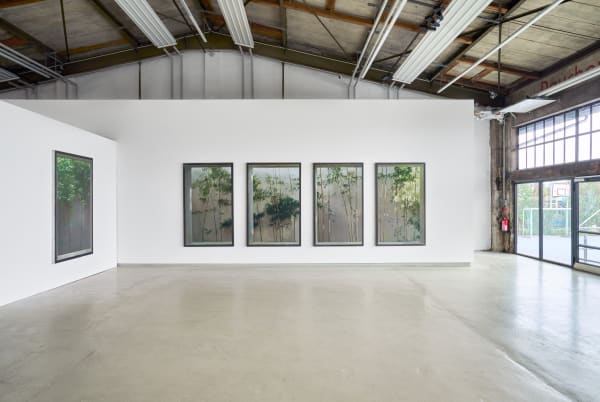 Tom Reichstein Kailiang Yang Meine Sonne 14