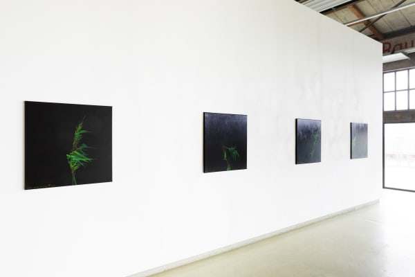 Photo &copy; Marcia Breuer