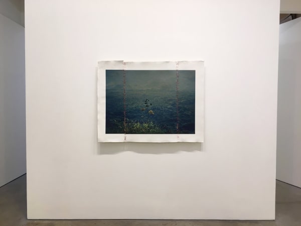 Img 4529 Orig