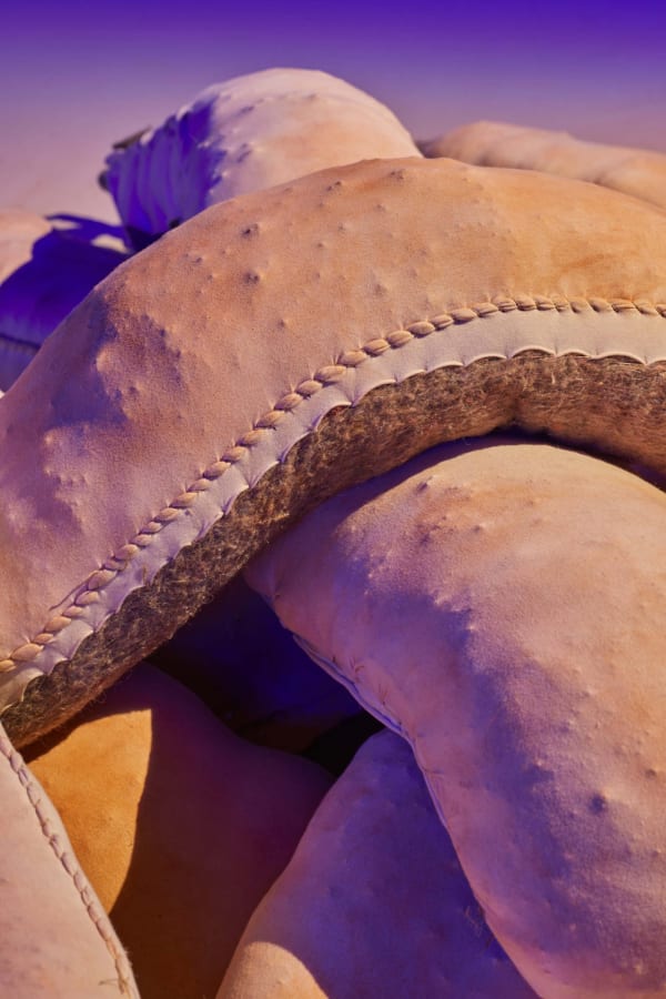 Sara Bichão - Tumba/Tomb, 2024