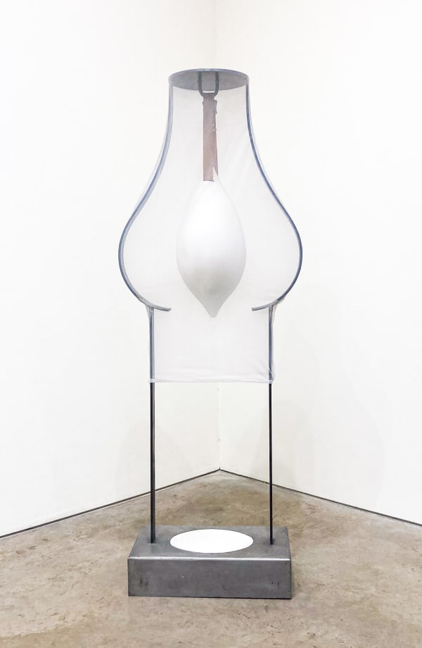 Teresa Serrano: Echoing What is Known