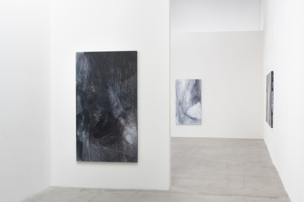 Suspended Wire 2016 Installation View 2B Cab