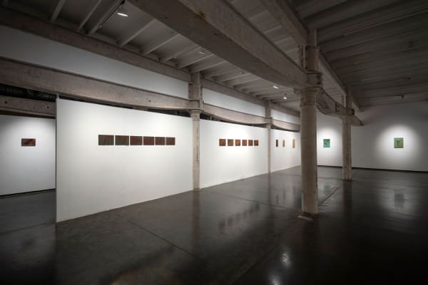 Install 3 Monsoonmausam Dscf0071 Web