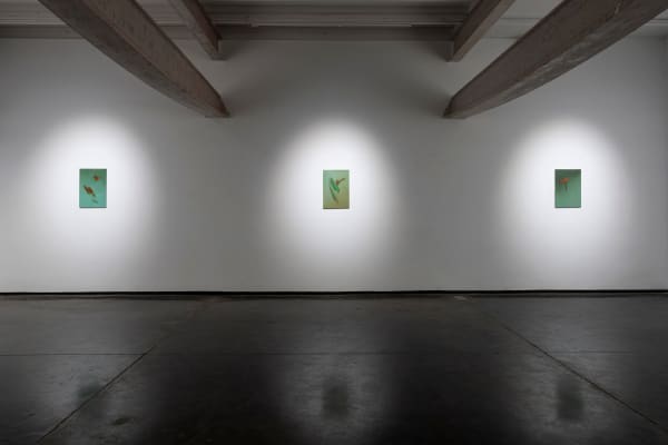 Install 7 Monsoonmausam Dscf0008 Web