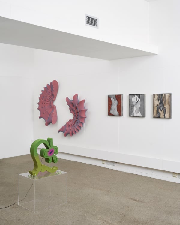 20240520 Palmergallery 0299