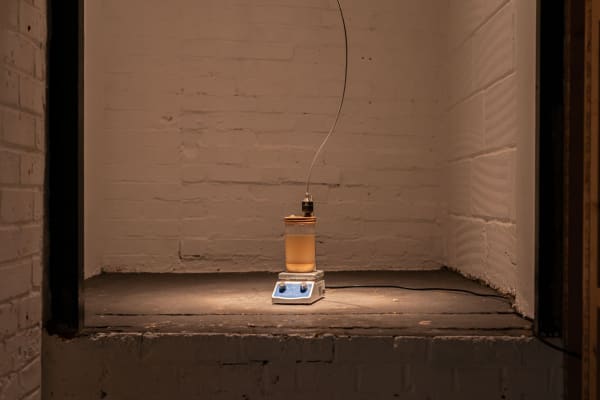 Shaan Bevan Owen Pratt Hires 030 1