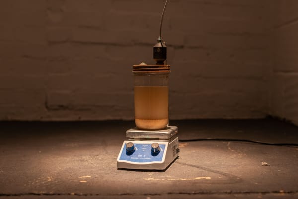 Shaan Bevan Owen Pratt Hires 031 1