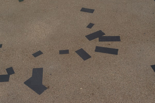 Palmer 020225Webres043