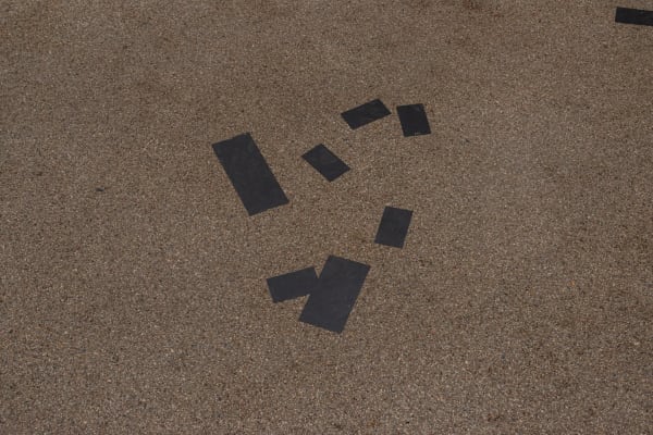 Palmer 020225Webres044