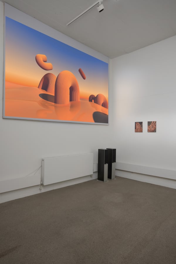 Palmer Gallery Field Of Difference 05