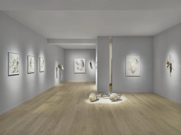 The wounds of war in Ivana Bašić’s ‘Temptation of Being’ at Albion Jeune, London by Sofia Hallström