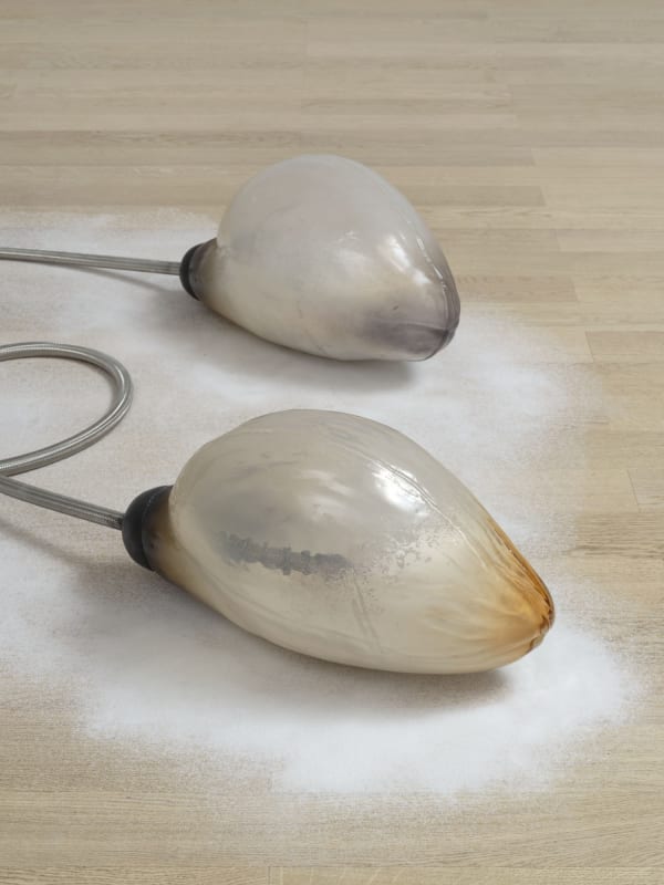 Gormley, Hunt and Zajko’s Imagined Futures of the Human Body by Sam Moore, OBSERVER