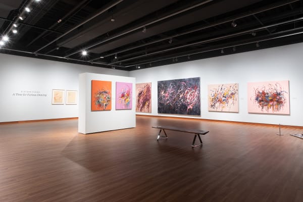 Interview: a'driane nieves, 'A Time for Furious Dancing'