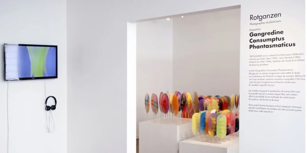GANGREDINE CONSUMPTUS PHANTASMATICUS Rotganzen - Solo Show, Paris