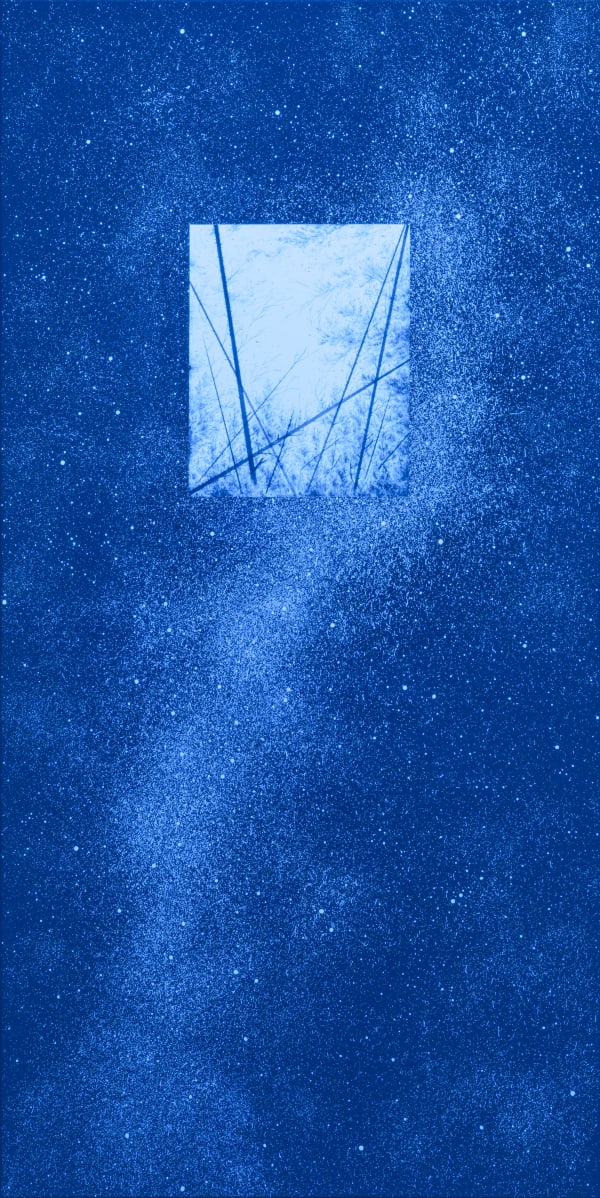 Eric Eriston Winarto, BLACKLIGHT SELVA ( GALAXY ), 2014