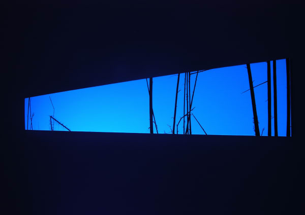 Eric Eriston Winarto, WALD BLAU, 2006