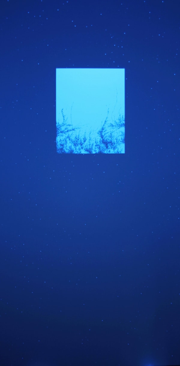 Eric Eriston Winarto, BLACKLIGHT SELVA ( GALAXY ), 2014