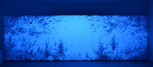 Eric Eriston Winarto BLACKLIGHT SELVA, 2014 Fluorescent acrylic on wall, blacklight tube Circa 210 X 380 cm