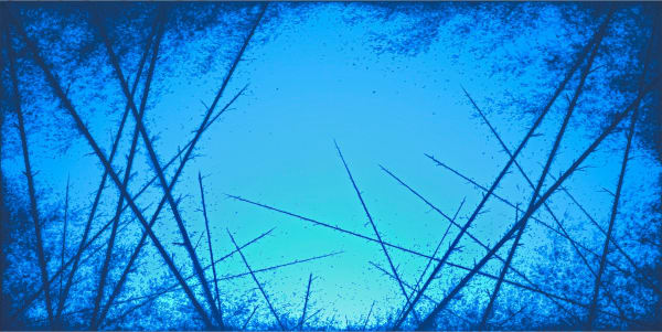 Eric Eriston Winarto, WALD, 2011