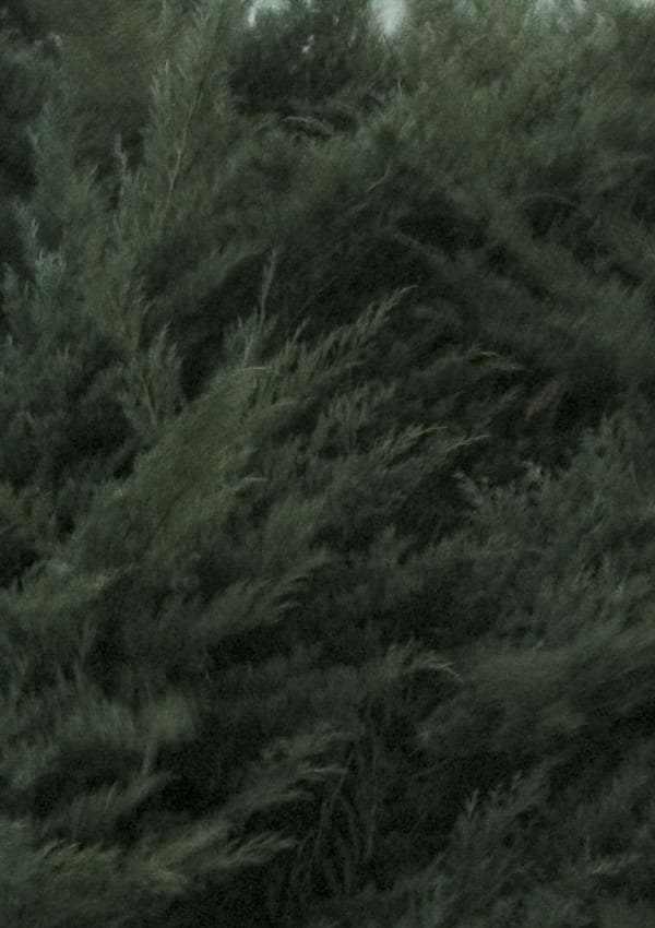 HALLE NORD, GENEVA, SWITZERLAND