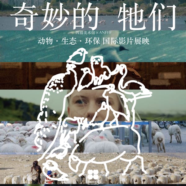 四禧放映｜奇妙的牠们