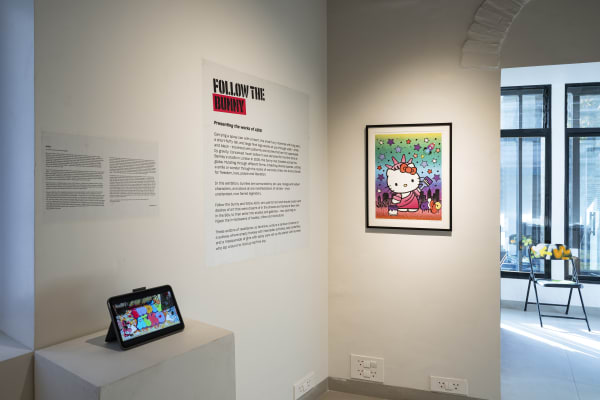 Aiko Install Shot 16