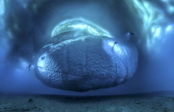 LA FACHE CACHÉE DE L’ICEBERG 2015 - 40 x 60 cm Mer Adélie