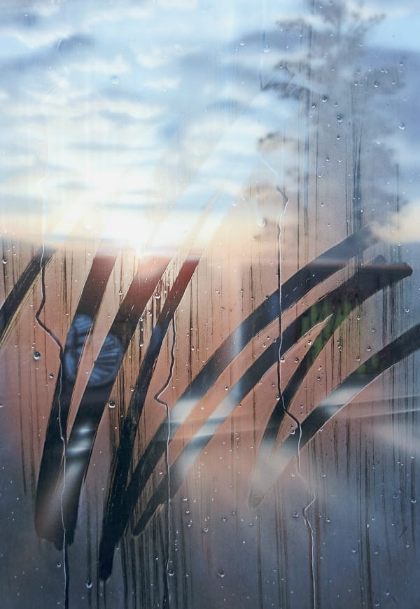 Speerstra Gallery Suisse présente Saype "Persistent Impermanence"