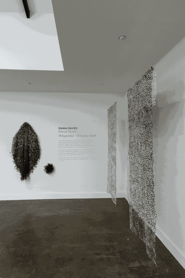 Screenshot 2024 09 18 At 3 41 22 Pm